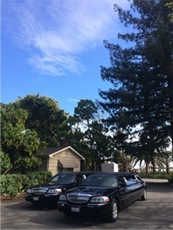 Our limos at Caymus Vineyards
