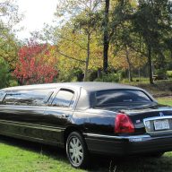 Limousine at the Winery