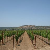 Viader Winery in Napa Valley